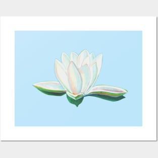 Iridescent water lily Illustration Posters and Art